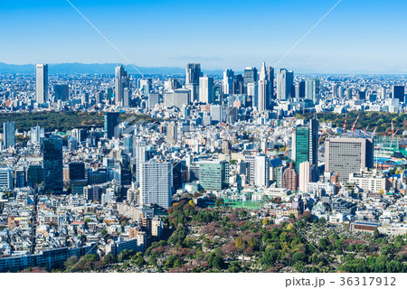 東京　新宿副都心と原宿・青山周辺の町並み 36317912