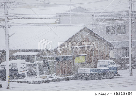 雪景色　寒波 36318384