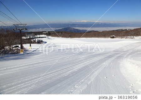 バージンゲレンデ(蔵王ライザスキー場） 36319056