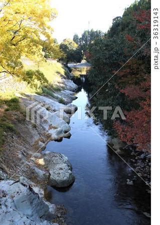 秋の奥耶馬渓　猿飛千壺狭　白い岩肌の甌穴群 36319143