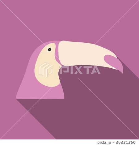brazilian toucan bird nature 36321260