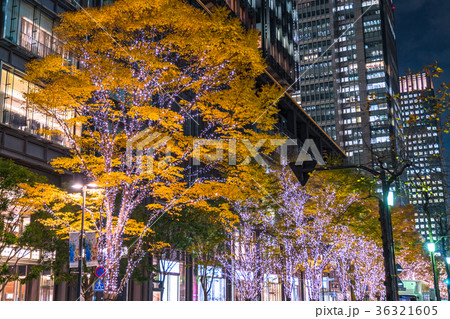 《東京都》丸の内の夜景・イルミネーション 36321605