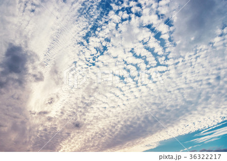 巻積雲の夕空 36322217