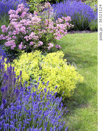 Beautiful garden in spring. 36323124