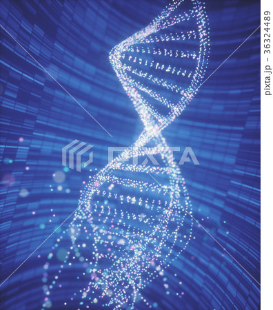 DNA Molecule Structure 36324489
