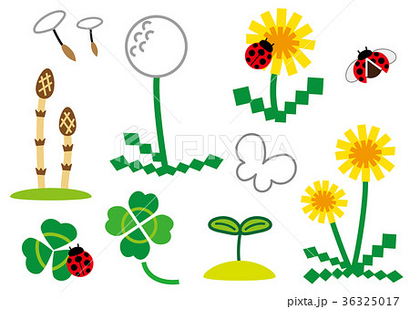 春の息吹 36325017