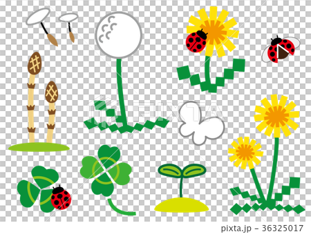 春の息吹 36325017