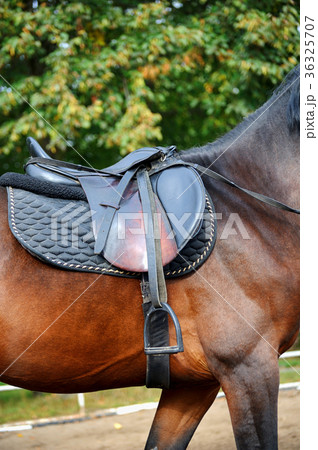 Detail of a horse saddle 36325707