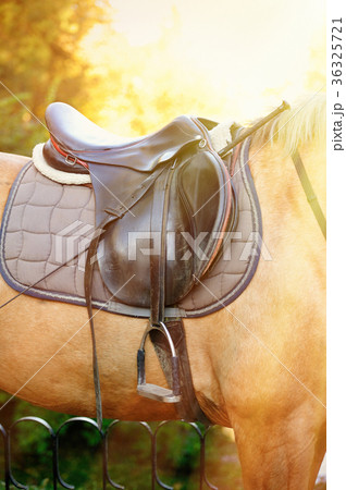 Detail of a horse saddle 36325721