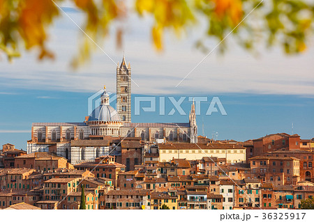 Siena Cathedral in the sunny day, Tuscany, Italy Siena Cathedral in the sunny day, Tuscany, Italy 36325917
