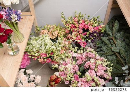 different varieties. Fresh spring flowers in different varieties. Fresh spring flowers in 36326278