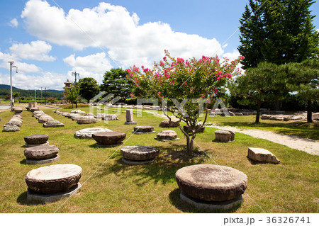 国立博物館 博物館 広場 36326741