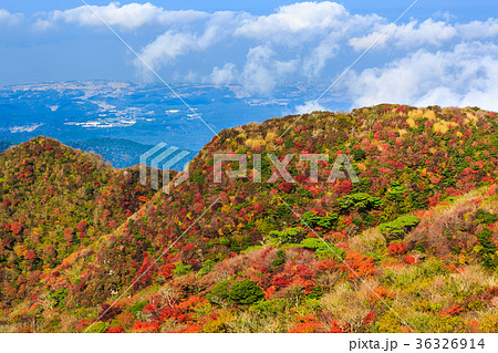 雲仙　普賢岳からの紅葉 36326914