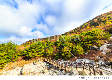 雲仙地獄と紅葉 お糸地獄 長崎の写真素材