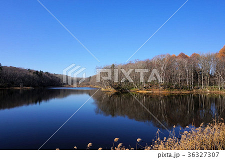 北海道 野幌森林公園 大沢の池 北海道 野幌森林公園 大沢の池 36327307