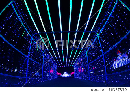 イルミネーション イルミネーション 36327330