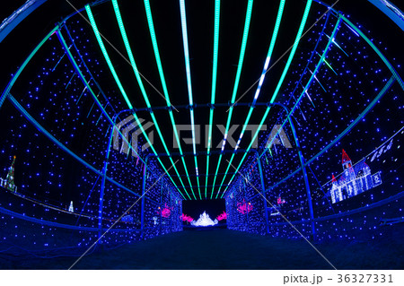 イルミネーション 36327331