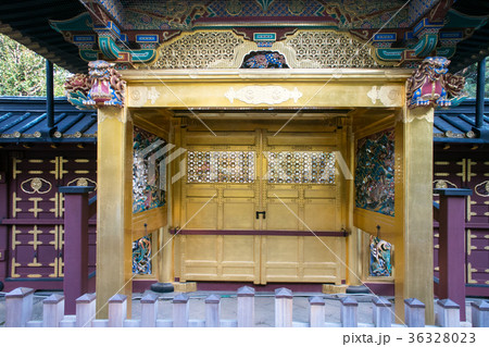 上野公園　上野東照宮　金色殿　唐門　国指定重要文化財 36328023