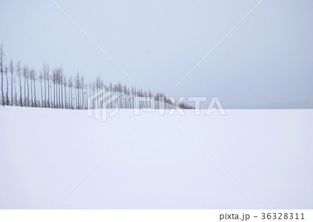 雪景色 36328311