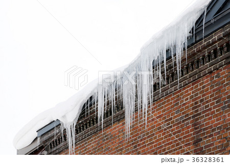 つらら つらら 36328361