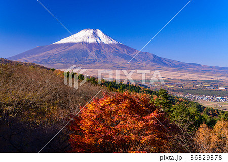 紅葉の二十曲がり峠と冠雪した富士山 36329378