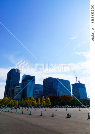 丸の内 ビル群(縦) 丸の内 ビル群(縦) 36330150