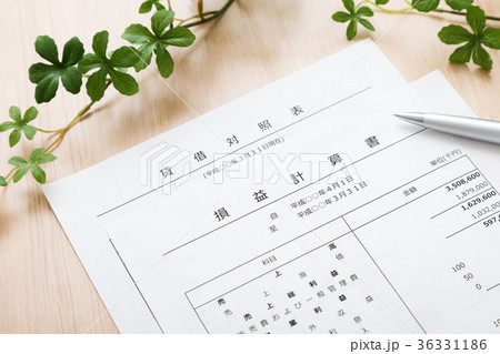 ビジネス資料 36331186