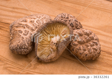 干し椎茸 36332261