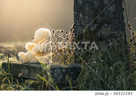 Teddy bear alone on a bench Teddy bear alone on a bench 36332283