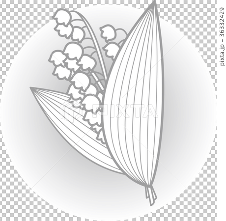 Suzuran花束灰色線模糊 36332429