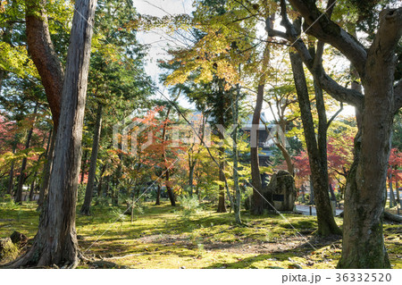 南禅寺 南禅寺 36332520
