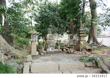 源実朝首塚（神奈川県秦野市） 36333917