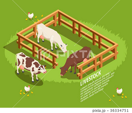 Livestock Isometric Composition Livestock Isometric Composition 36334751