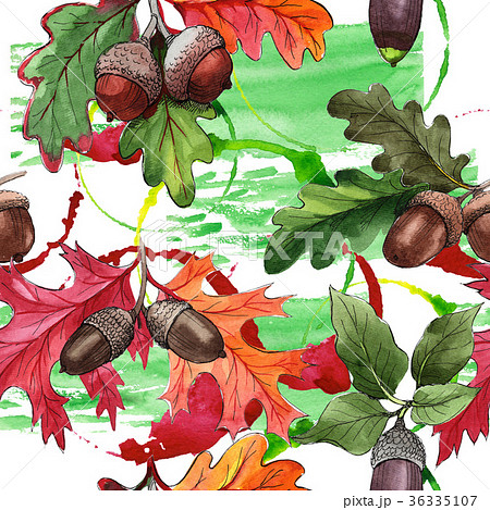Forest acorn in a hand drawn watercolor style 36335107