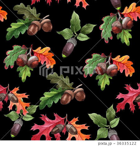 Forest acorn in a hand drawn watercolor style 36335122