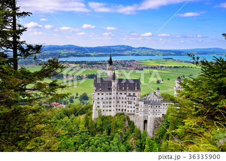 Neuschwanstein Castle the famous castle 36335900