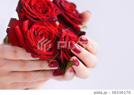 Hands of a woman with dark red manicure 36336170