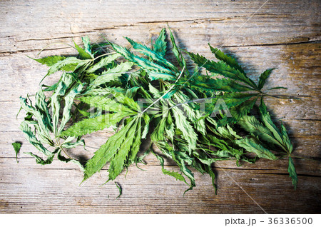 Dried marijuana leafs on a wooden table 36336500