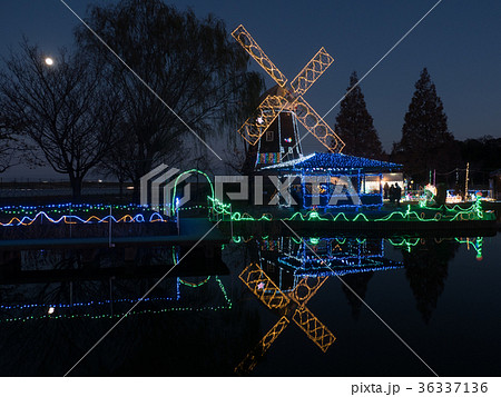 あけぼの山農業公園 イルミネーション あけぼの山農業公園 イルミネーション 36337136