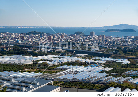 東海道新幹線と蒲郡の街並み 36337157