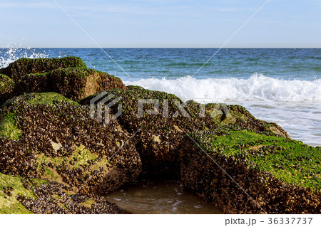 sea wave crashing on rocks with spray and foam 36337737