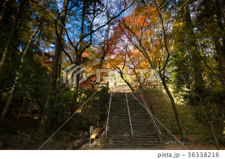 四国第八十二番札所根香寺の紅葉 36338216