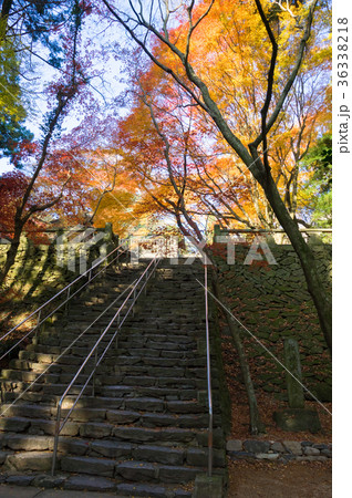 四国第八十二番札所根香寺の紅葉 36338218