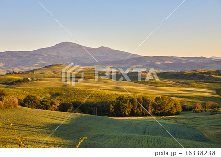 Landscape in Tuscany, Italy 36338238