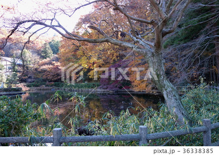 足利市・長林寺の12月 足利市・長林寺の12月 36338385