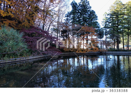足利市・長林寺の12月 36338388