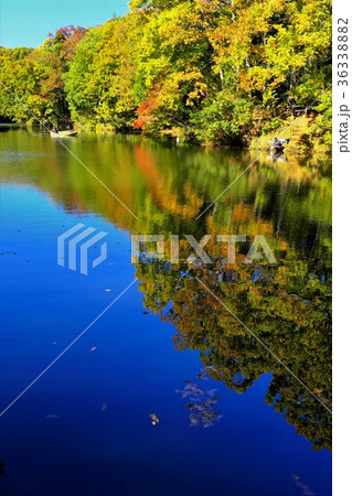 静かな湖畔 36338882