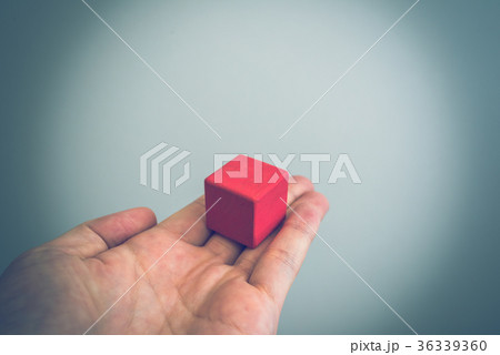 ブロック 36339360