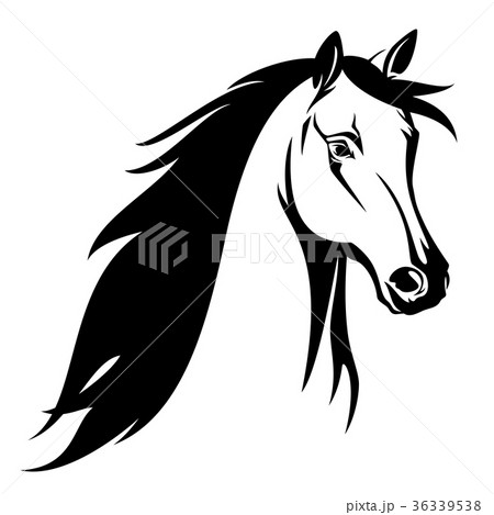 horse head black and white vector design horse head black and white vector design 36339538