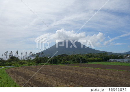 開聞岳と池田湖　自然　風景　旅　旅行　指宿　南九州　雲 36341075